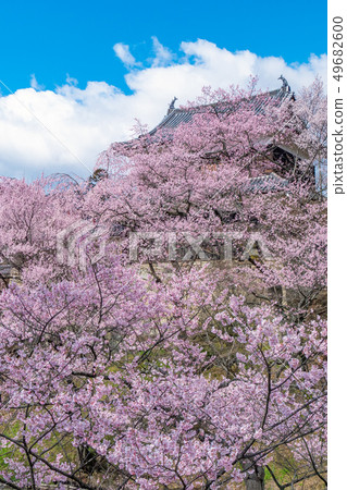 Ueda City, Nagano Prefecture Ueda Castle and Sakura 49682600