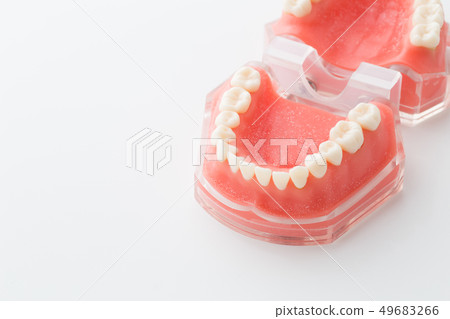 Tooth profile model Tooth profile model 49683266
