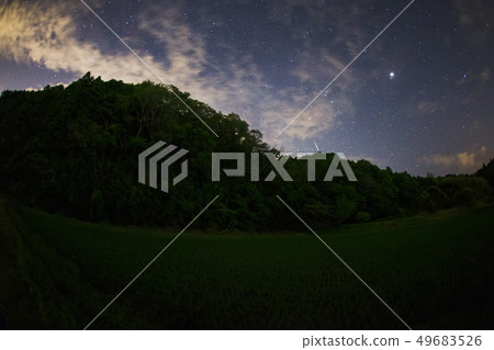 firefly and milky way  49683526