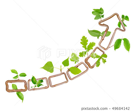 Plant arrow 49684142