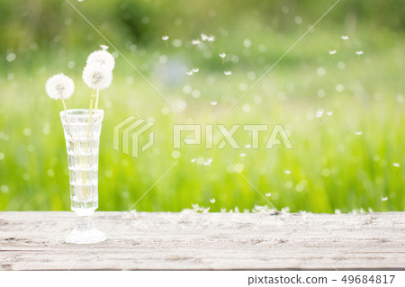 white dandelion in a vase on a wooden table white dandelion in a vase on a wooden table 49684817