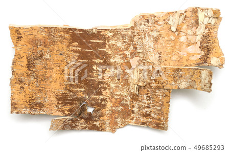 birch bark 49685293