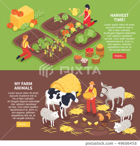 Isometric Farm Banners Isometric Farm Banners 49686458