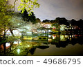 Cherry blossoms at Omiya Park 49686795