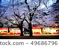 Cherry blossoms at Omiya Park 49686796