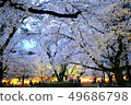 Cherry blossoms at Omiya Park 49686798