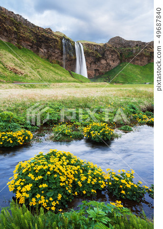 Amazing landscape with waterfall in Iceland 49687840