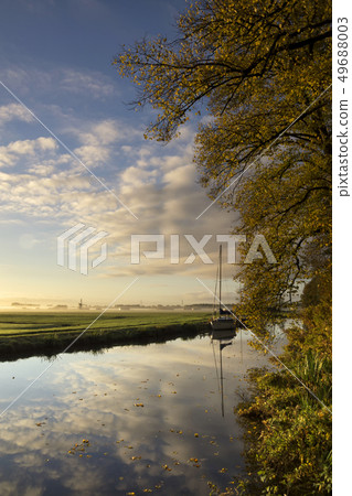 Autumn trees along a canal 49688003