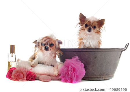 after bath 49689596