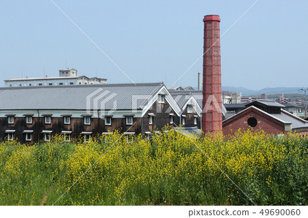 Kyoto Fushimi Rape flower and liquor store 49690060