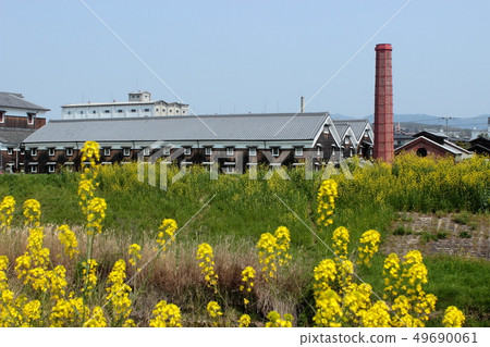 Kyoto Fushimi Rape flower and liquor store 49690061