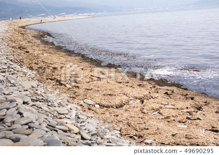 Black sea beach covered with rotten algae. Black sea coast, Novorossiysk, Russia 49690295