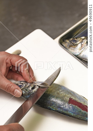 [Grilled mackerel] 49690911