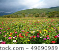  Flower garden 49690989