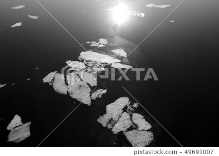 Melting ice on the water at sunny day. 49691007