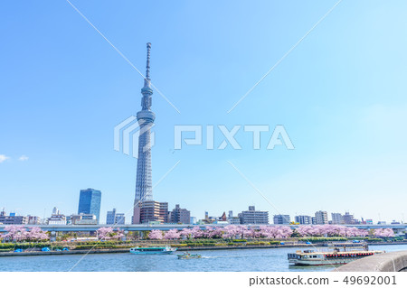 Tokyo's Spring Sumida Park Cherry Blossom Festival 49692001