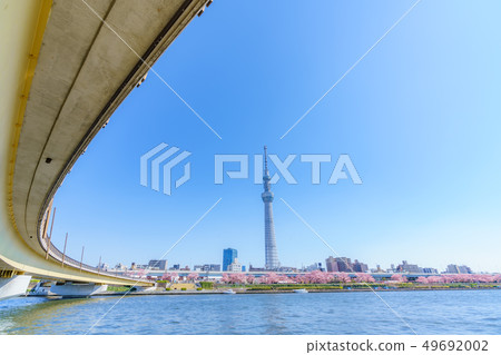 Tokyo's Spring Sumida Park Cherry Blossom Festival 49692002