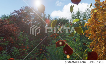 Autumn leaves fall from trees in autumn Park. Autumn colorful Park on a Sunny day. 3D Rendering 49692346