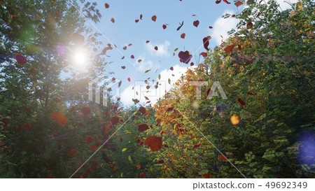 Autumn leaves fall from trees in autumn Park. Autumn colorful Park on a Sunny day. 3D Rendering Autumn leaves fall from trees in autumn Park. Autumn colorful Park on a Sunny day. 3D Rendering 49692349