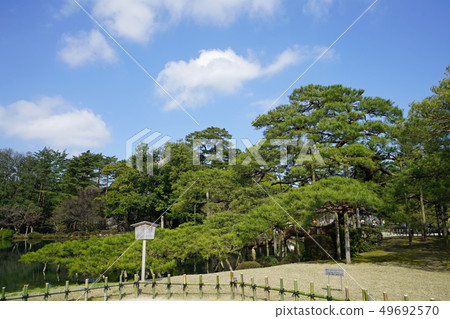 Kenrokuen Karasaki Matsu Kenrokuen Karasaki Matsu 49692570