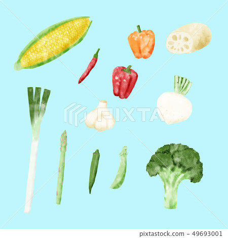 菜例證2水彩 49693001