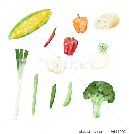 蔬菜圖2水彩材料 蔬菜圖2水彩材料 49693002