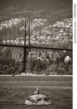 Lions Gate Bridge 49694360