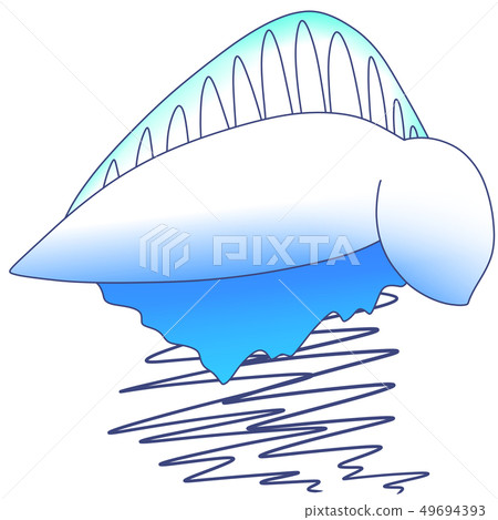 Bonito on water 49694393