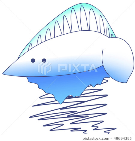 水上鰹魚（帶臉） 49694395