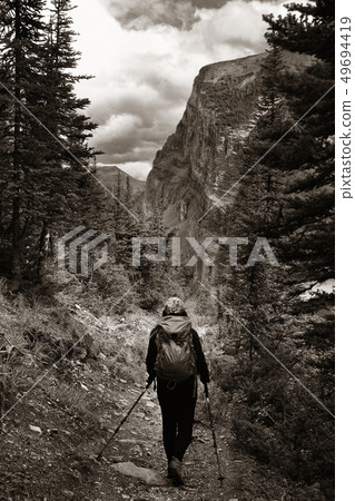 Banff National Park 49694419