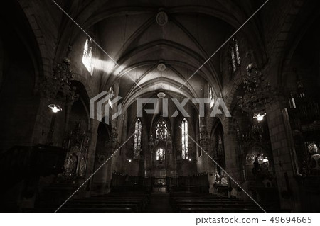 Basilica of the Immaculate Conception Basilica of the Immaculate Conception 49694665