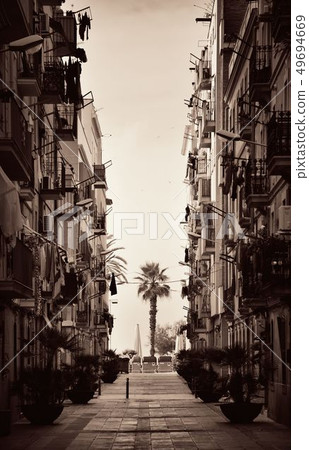 Barcelona Street view with tree Barcelona Street view with tree 49694669