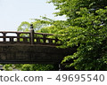 面對長滿的樹的老橋樑 49695540
