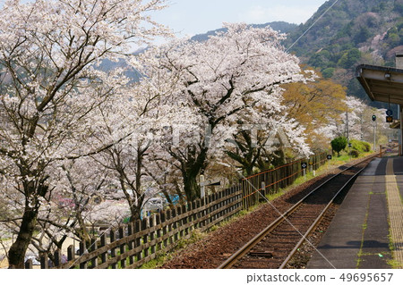 Sakura's Local Line, Kansai Main Line, Aoki Station 1 49695657