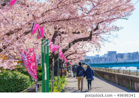 東京春天隅田公園櫻花節 49696341