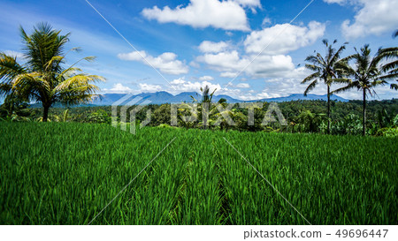 Clear blue sky and clouds over Bali Clear blue sky and clouds over Bali 49696447