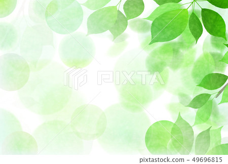 New green leaf green background - Stock Illustration [49696815] - PIXTA