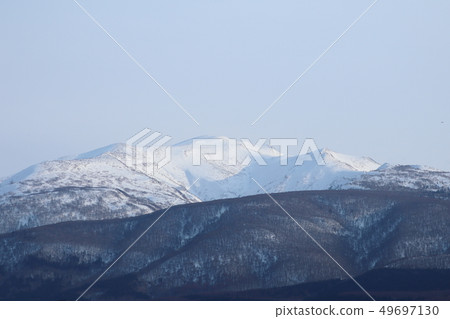 Shakotancho Shakotandake Shakotancho Shakotandake 49697130