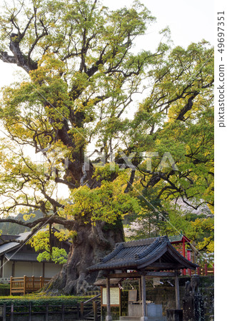 Kiryu no Kus Kagoshima Prefecture in the evening Kiryu no Kus Kagoshima Prefecture in the evening 49697351