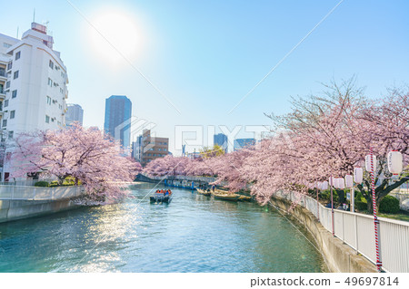 Tokyo's Spring Monzen Nakacho, Fukagawa Oedo Fukagawa Sakura Festival Tokyo's Spring Monzen Nakacho, Fukagawa Oedo Fukagawa Sakura Festival 49697814