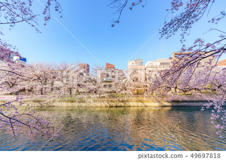 Tokyo's Spring Monzen Nakacho, Fukagawa Oedo Fukagawa Sakura Festival 49697818