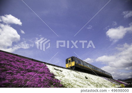 Shibazakura和Chizu鐵路 Shibazakura和Chizu鐵路 49698000