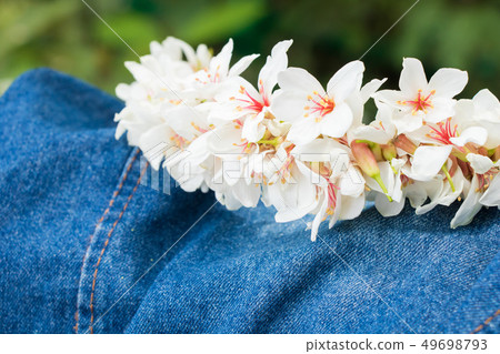 盛開的油桐花 49698793