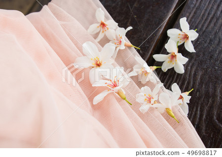 盛開的油桐花 49698817