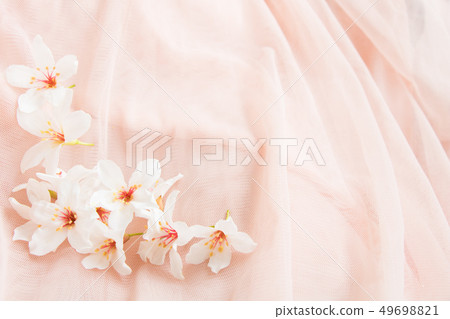 Blooming tung tree flower 49698821