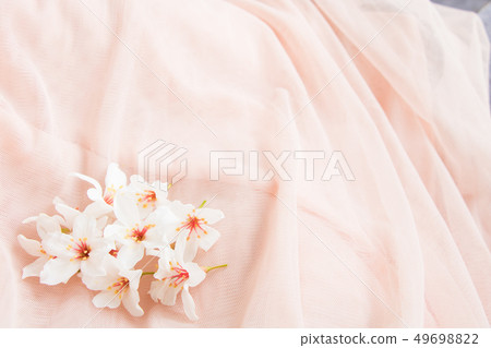 盛開的油桐花 盛開的油桐花 49698822