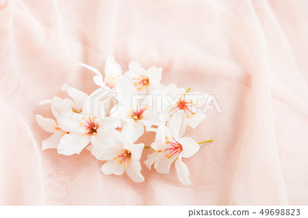 Blooming tung tree flower Blooming tung tree flower 49698823