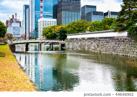 Tokyo Imperial Palace Hirakawamon and Hirakawa Rin surrounded by yellow leaves 49698902