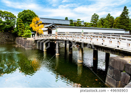 Tokyo Imperial Palace Hirakawamon no Kibashi and yellow leaves 49698903
