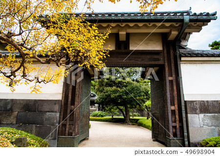 Tokyo Imperial Palace Hirakawa Gate and Koyo Gate and Yellow Leaf Maple 49698904